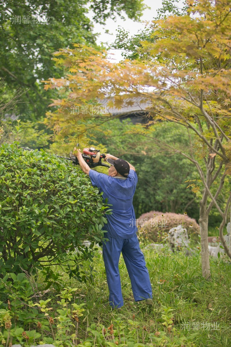 22年物業(yè)風(fēng)采3